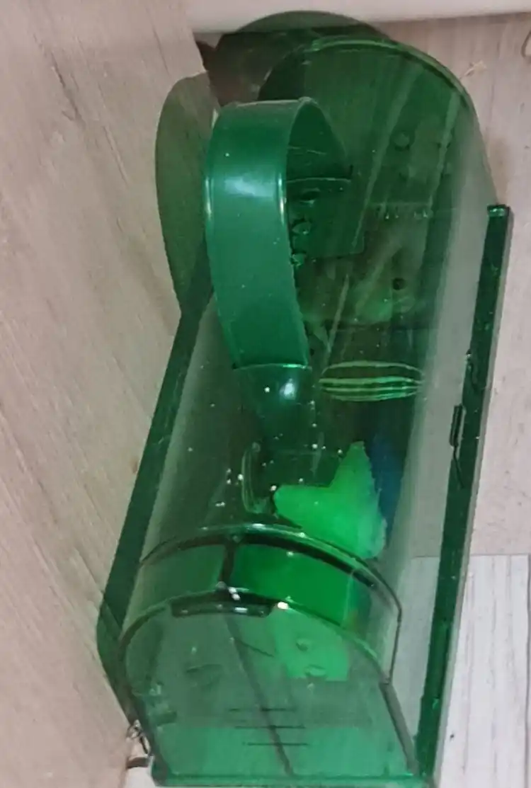 Мышеловка  для мышей, 2 шт
