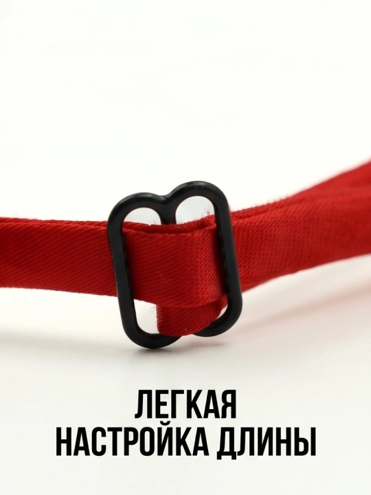 Ошейник бабочка для кошек и мелких собак регулируемый