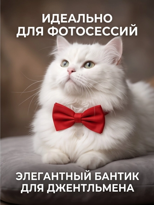 Ошейник бабочка для кошек и мелких собак регулируемый - 