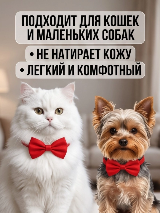 Ошейник бабочка для кошек и мелких собак регулируемый