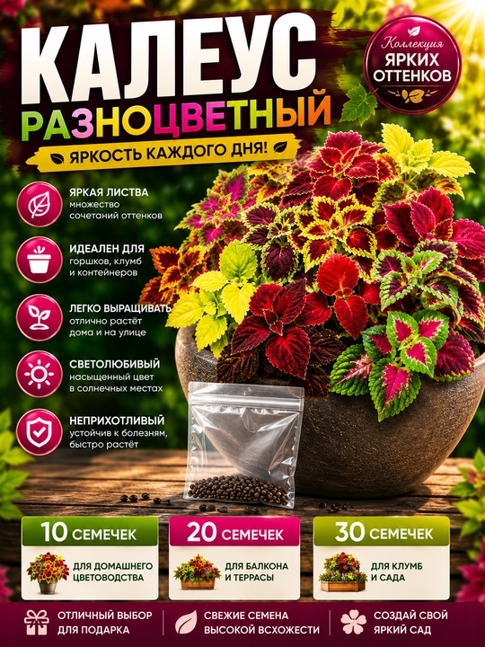 Цветок Калеус, микс - 