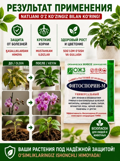 Фитоспорин-М — биофунгицид для защиты корней и растений