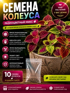 Конфетный