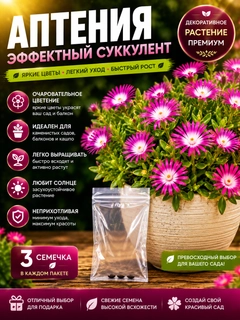Кремовый