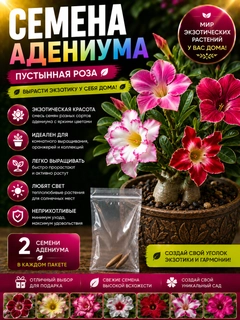 Лавандовый