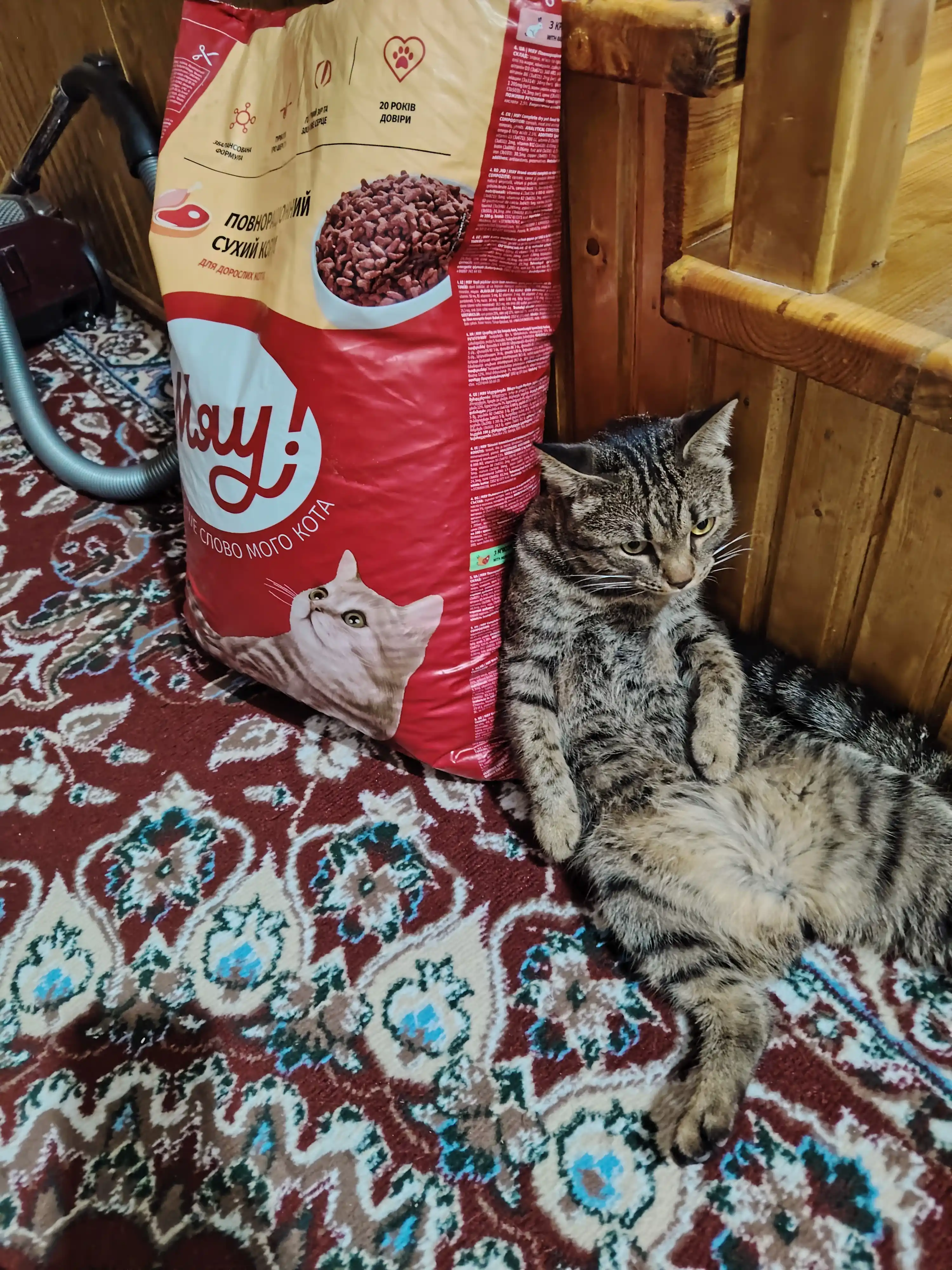 Myaу mushuklar uchun quruq yem, quyon go‘shti bilan, 11 kg