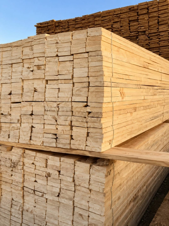 Strapila  uzuni 6 metr 11sm/3.5sm