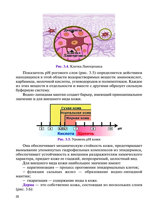 Основы Косметологии