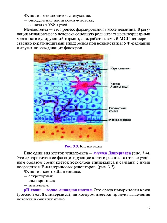 Основы Косметологии