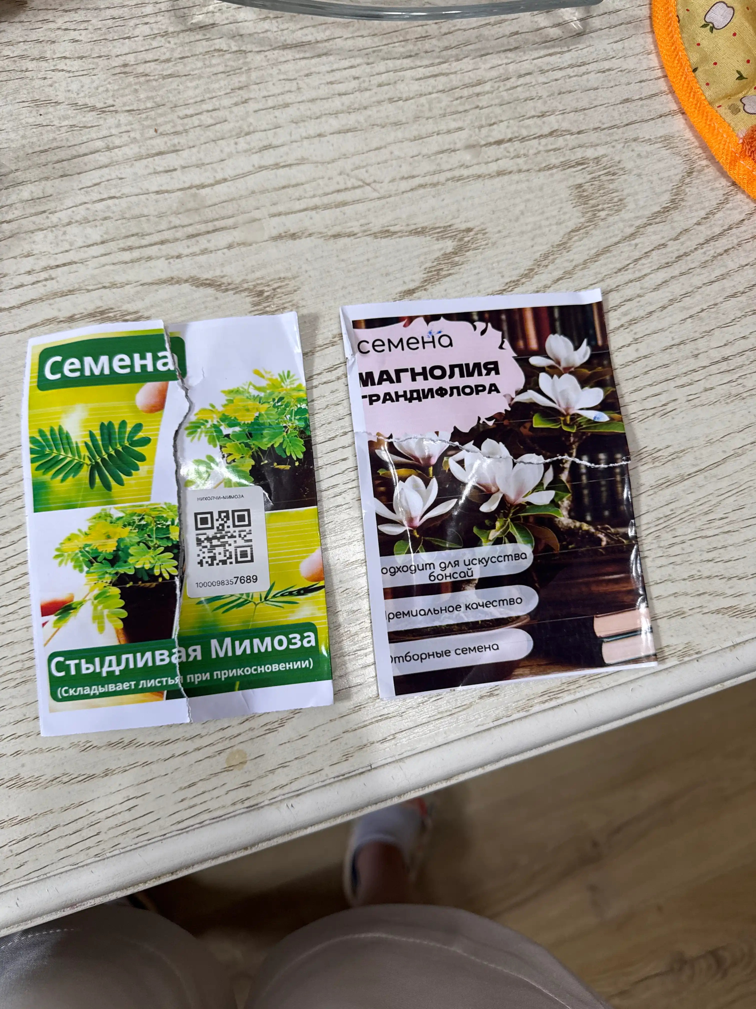 Tortinchoq mimoza urug‘lari, 15 ta urug‘, xona o‘simliklari urug‘lari, ekzotik o‘simliklar