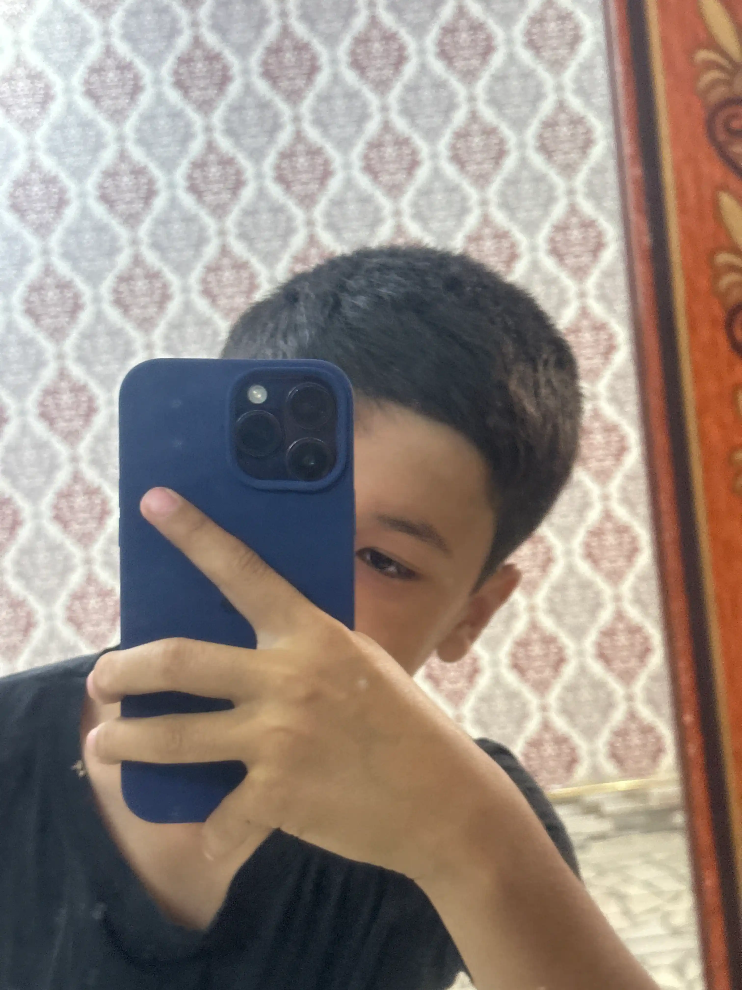 Chexol iPhone XS, 11, 12, 13, 14, 15, 16, 17, 18, Pro, Max, Plus, Air, rangli, silikon