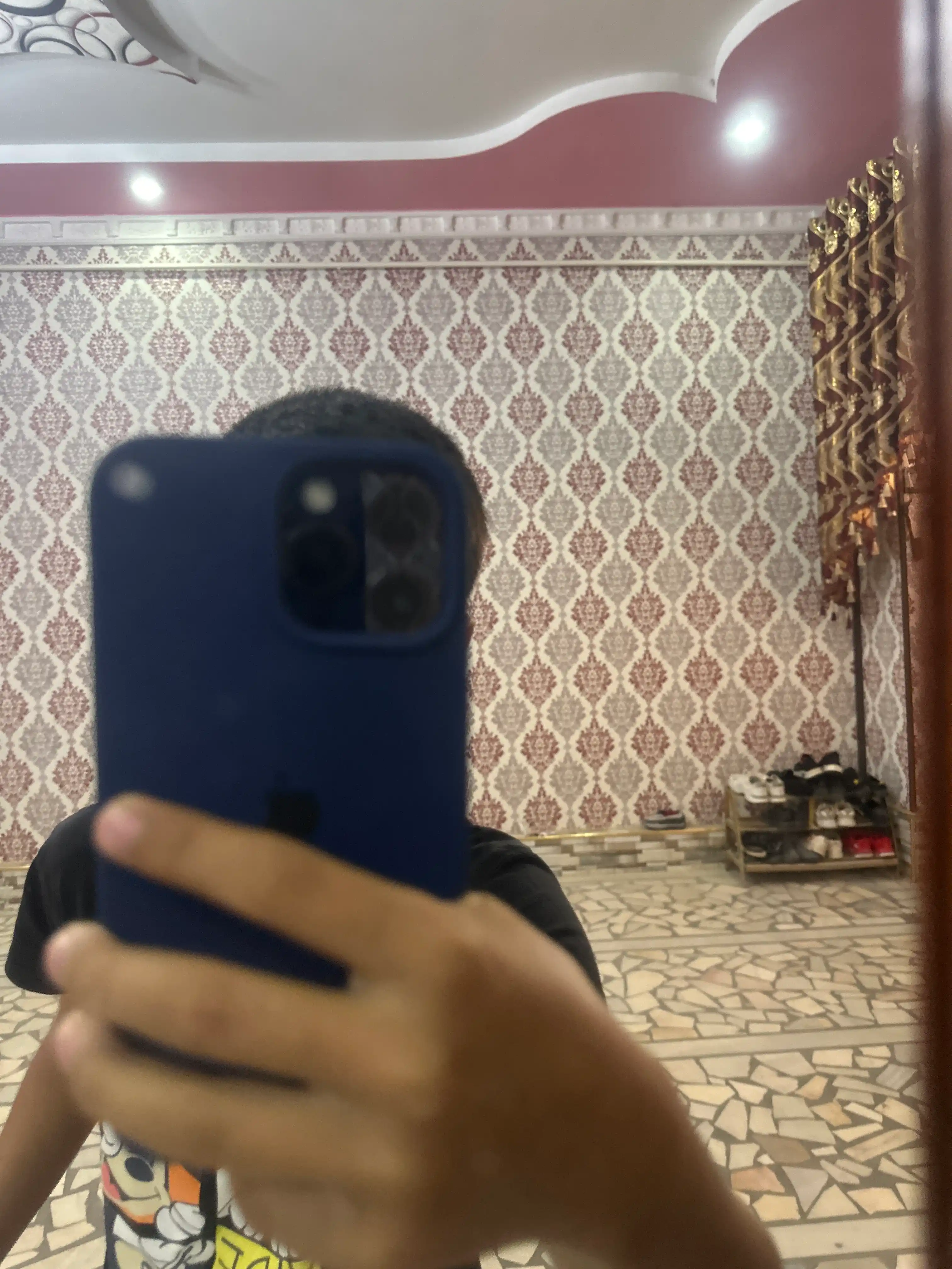 Chexol iPhone XS, 11, 12, 13, 14, 15, 16, 17, 18, Pro, Max, Plus, Air, rangli, silikon