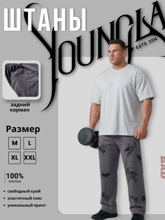 Мужские спортивные штаны YoungLA , streetwear стиль, для тренировок и повседневной носки - 