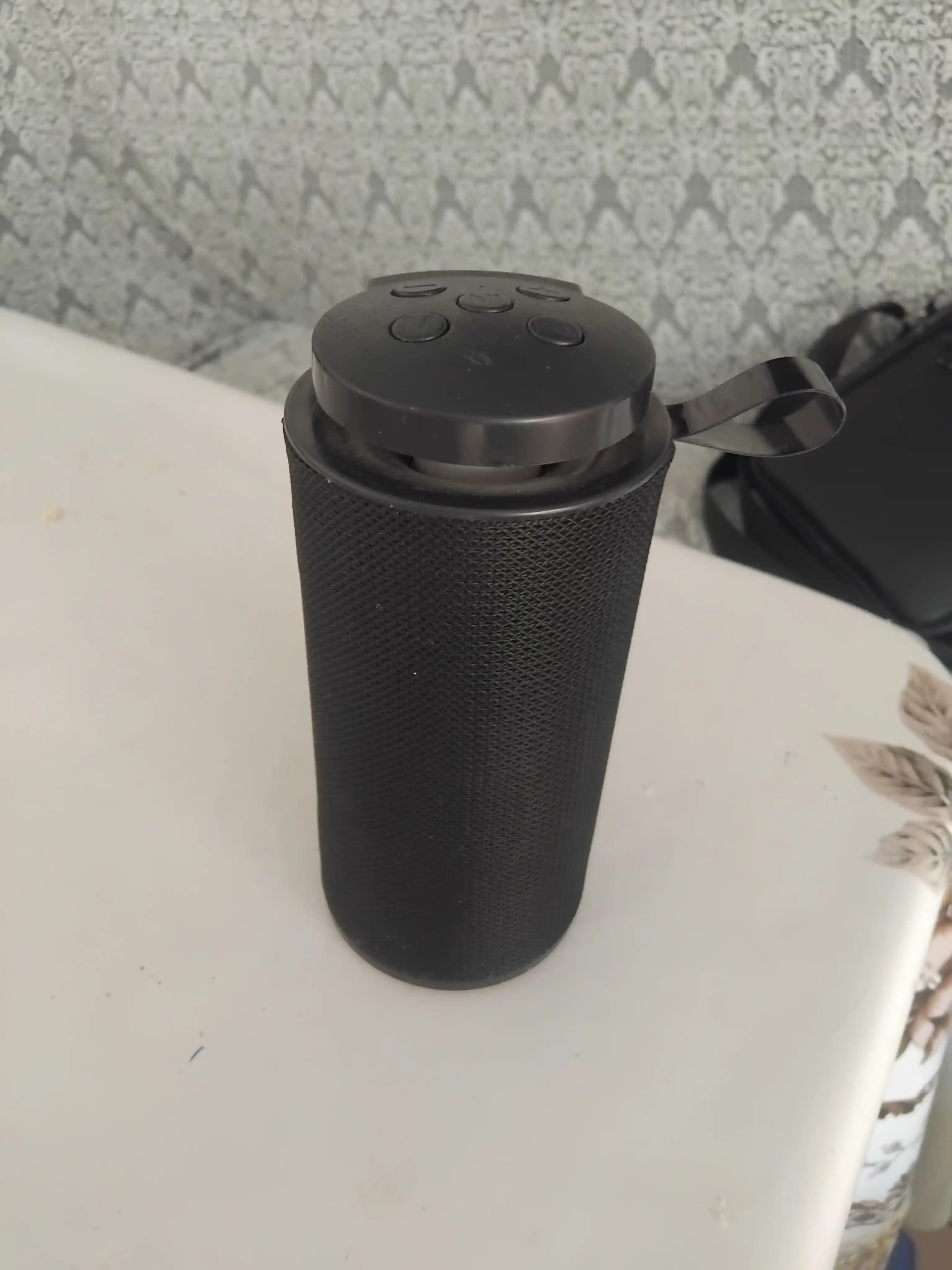 Portativ kolonka GT 112, yoritgichli