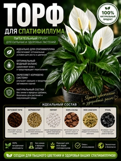 Белый