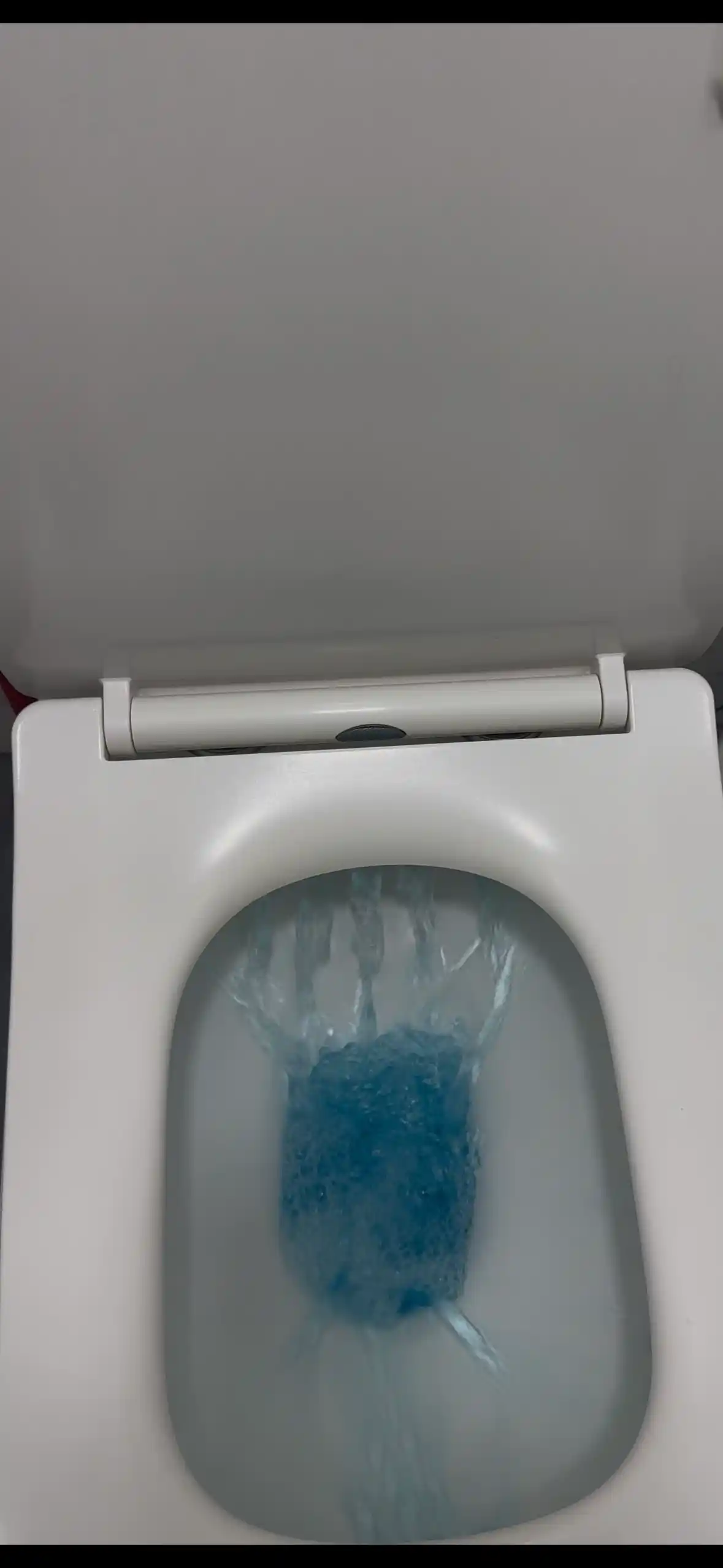Tualet bachok idishi uchun tabletka, hojatxona uhcun, 1-6 dona, 50 martagacha kok