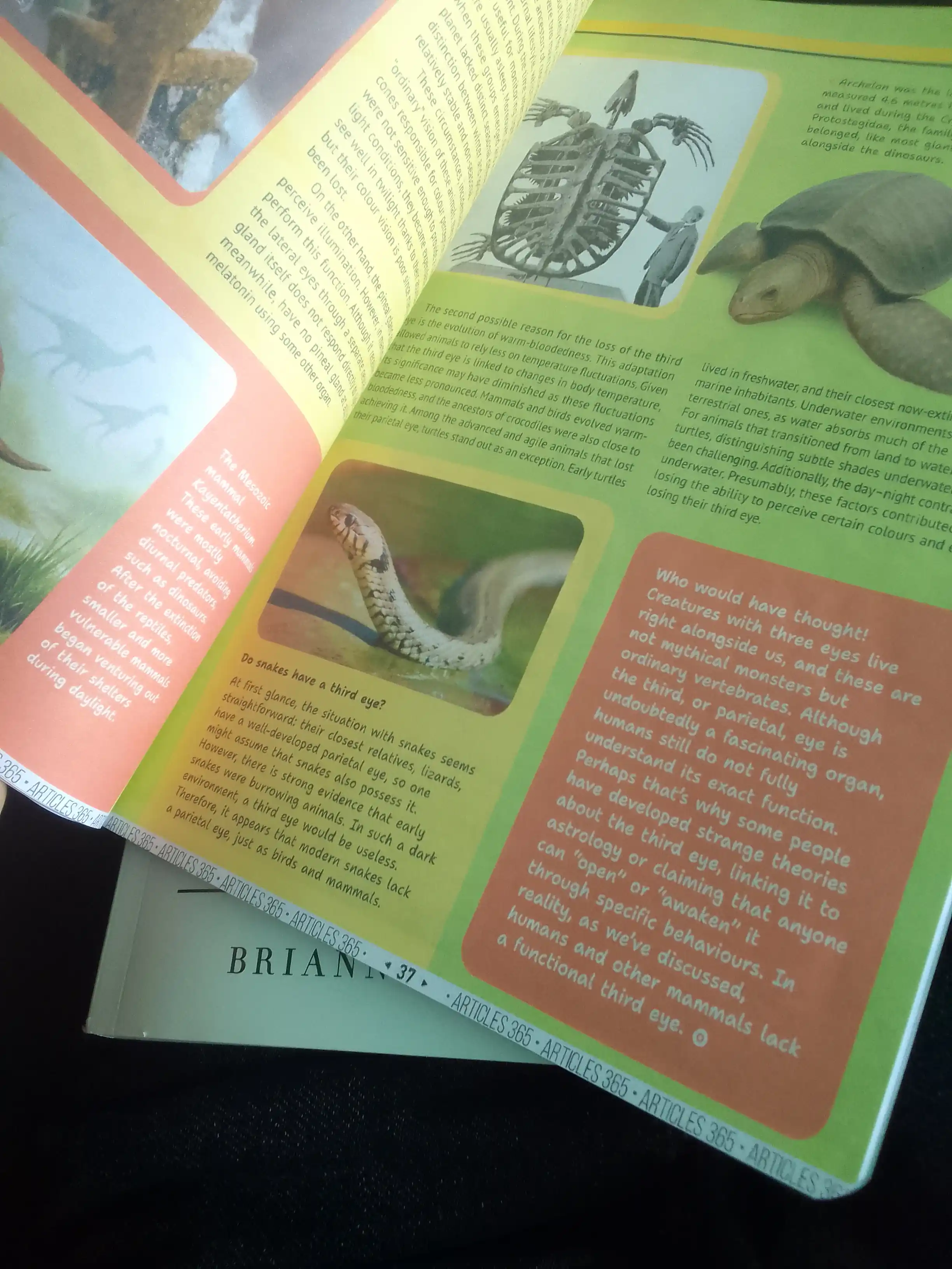 365 Magazine - Brain - ARTICLE BOOK