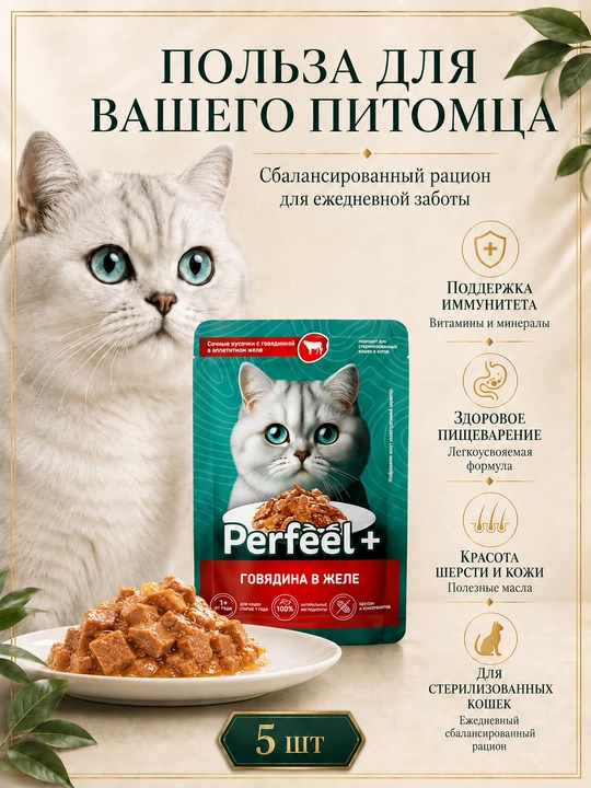 Perfeel+ mushuklar uchun nam yem, jelega mol go‘shti 75 gr 5 dona