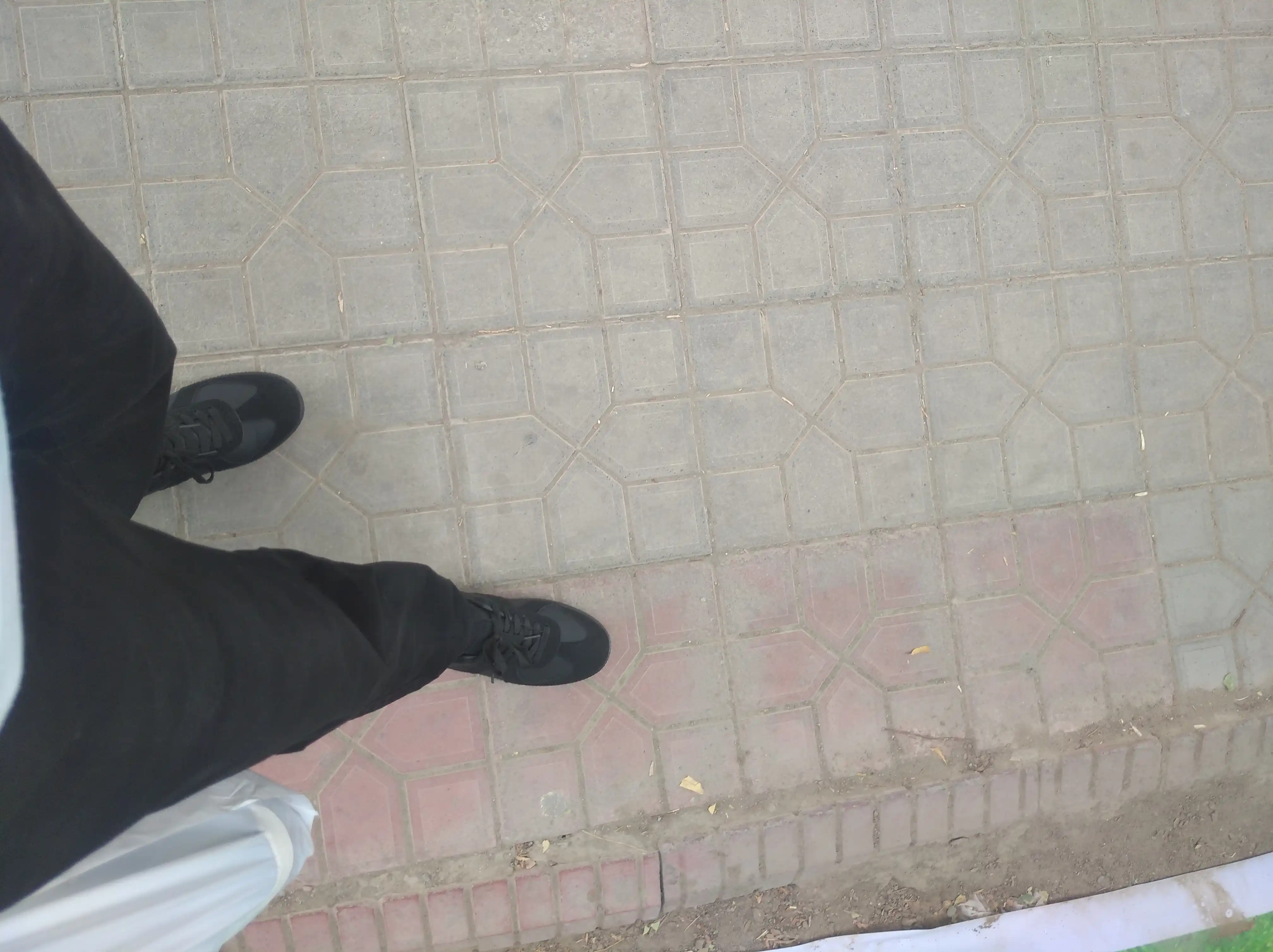 Zwalk Comfort Step kedlari yengil, kundalik kiyish uchun qulay