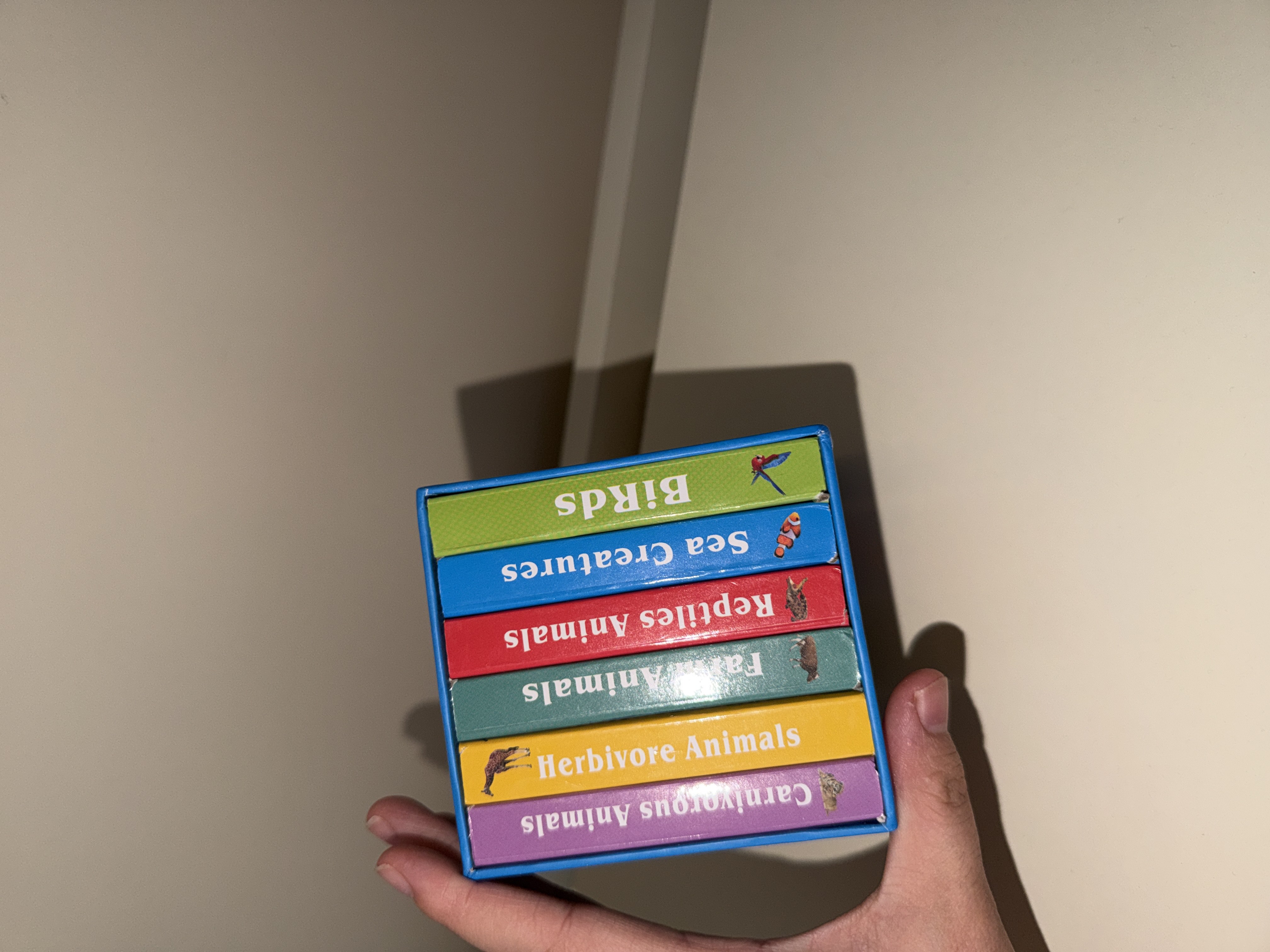 Ingiliz tilini o'rgatish uchun Usborne kitobi, qattiq muqovali bolalar kitoblari, 10 dona