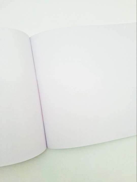 MEGA POLIGRAF Rasm chizish albomi, 40 varoq, 20,5×29 sm, A4 format, maktab va rasm chizish