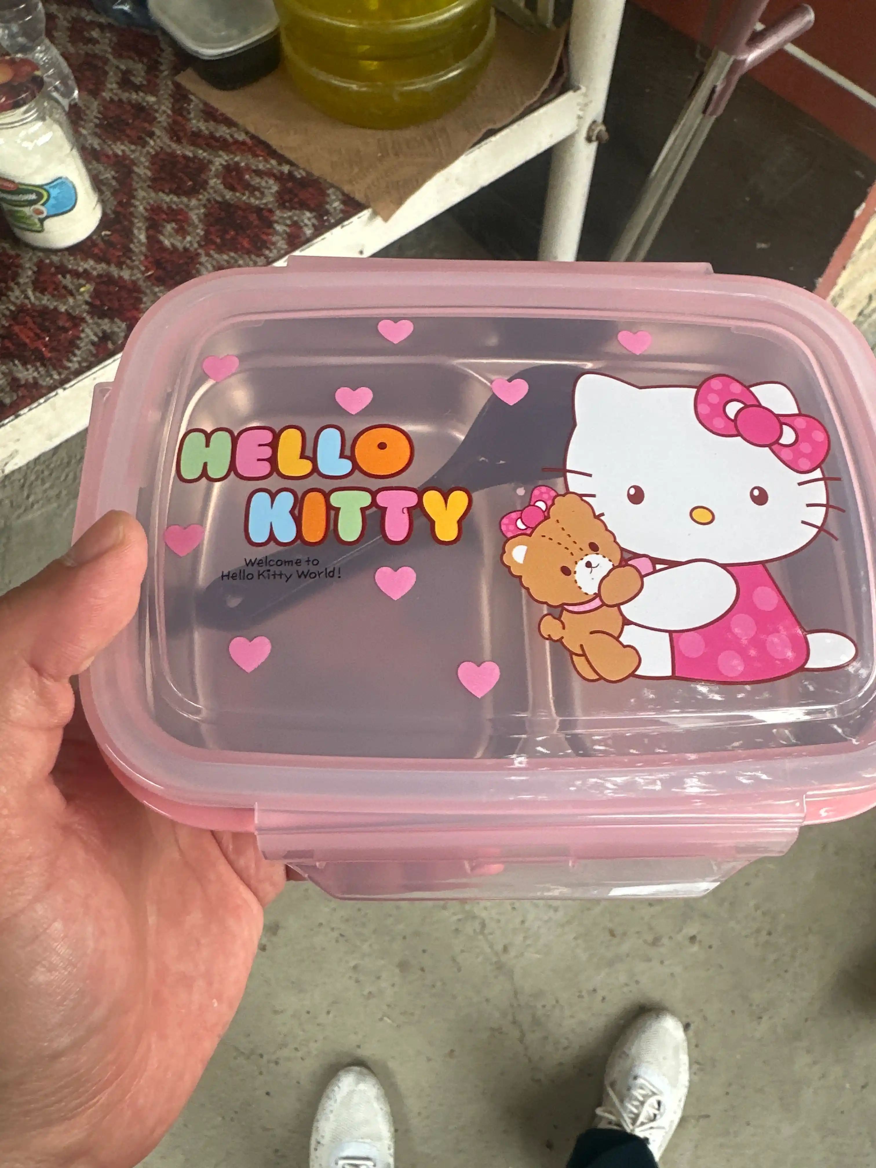Tushlik qutisi, maktab taomlari uchun konteyner, ovqat tashish uchun konteyner, lunchbox