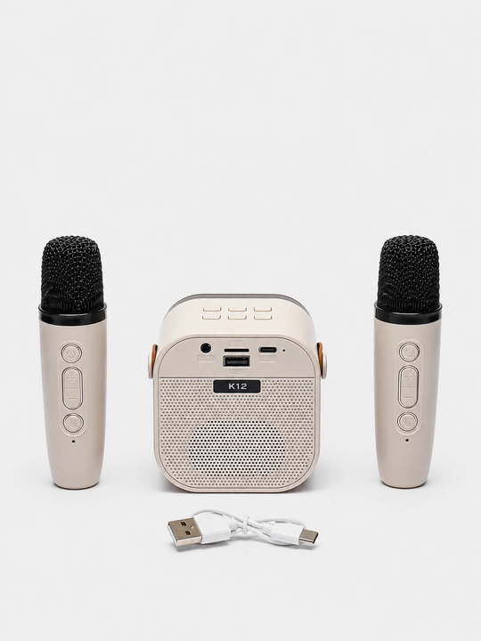 Karaoke uchun 2 ta mikrofonli portativ Bluetooth kolonka