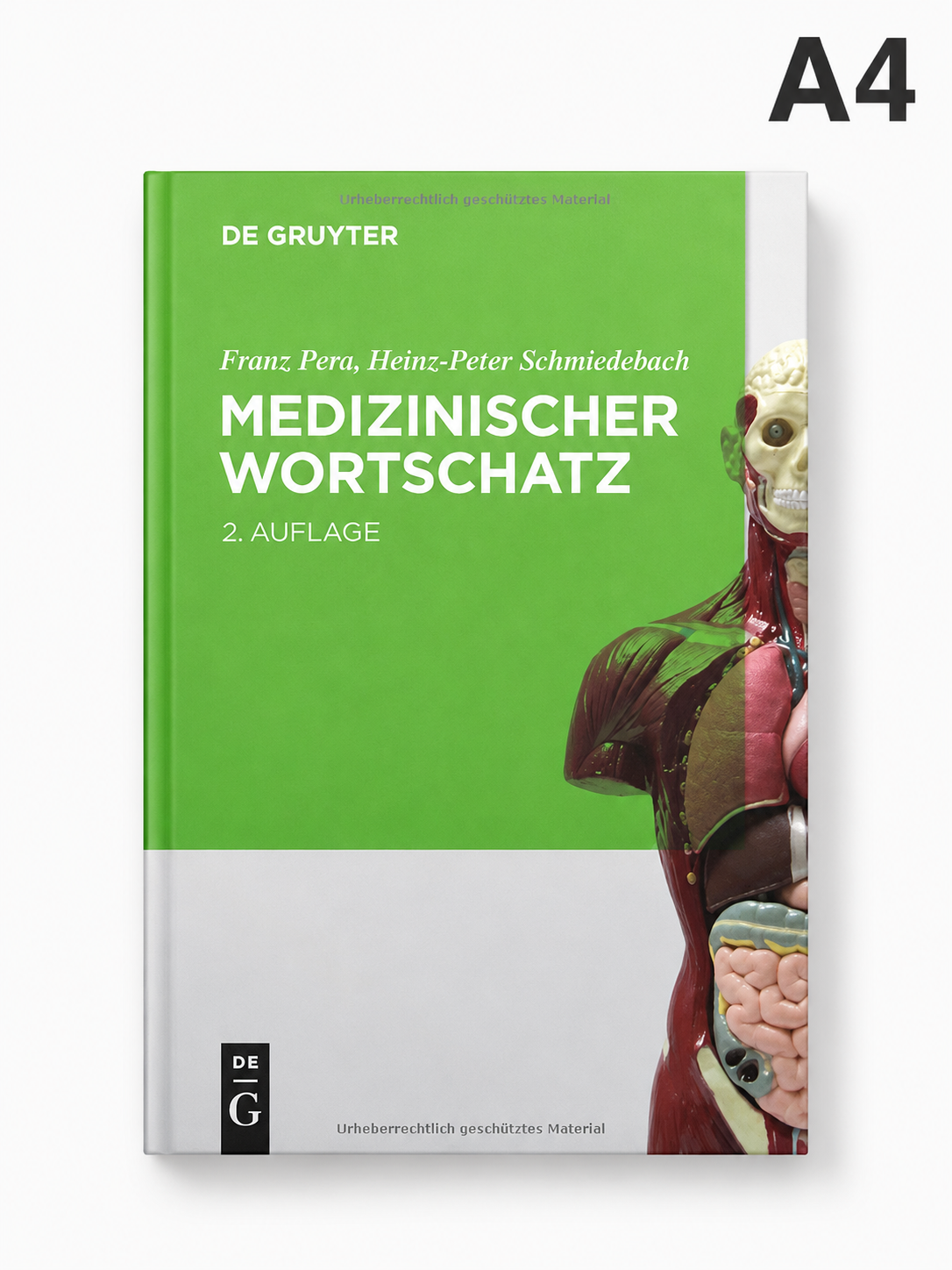 Medizinischer Wortschatz“ - “Tibbiy lug‘at boyligi - 
