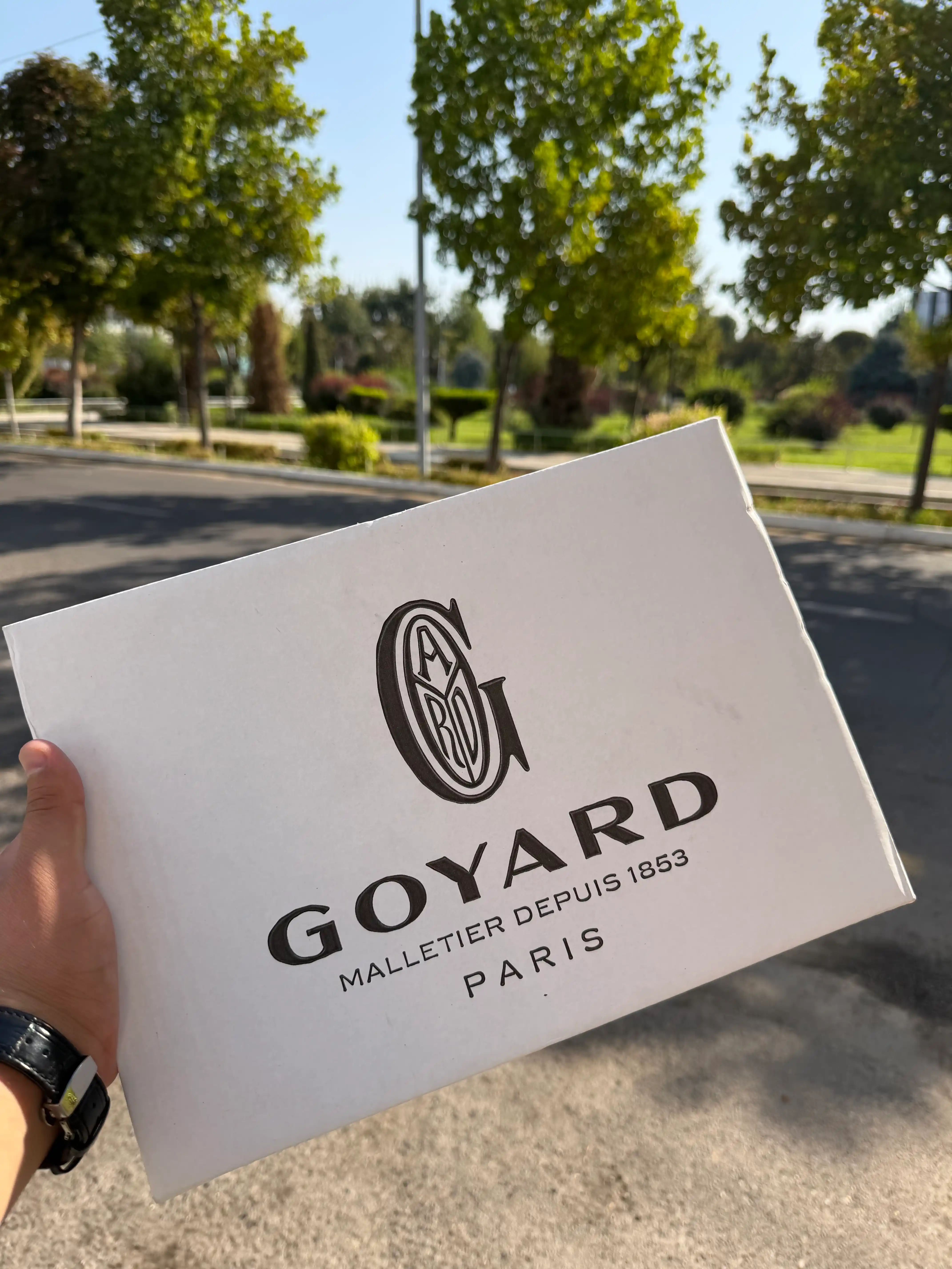 Мужская сумка Goyard, барсетка из эко-кожи, барсетка для мужчин, клатч, дипломат
