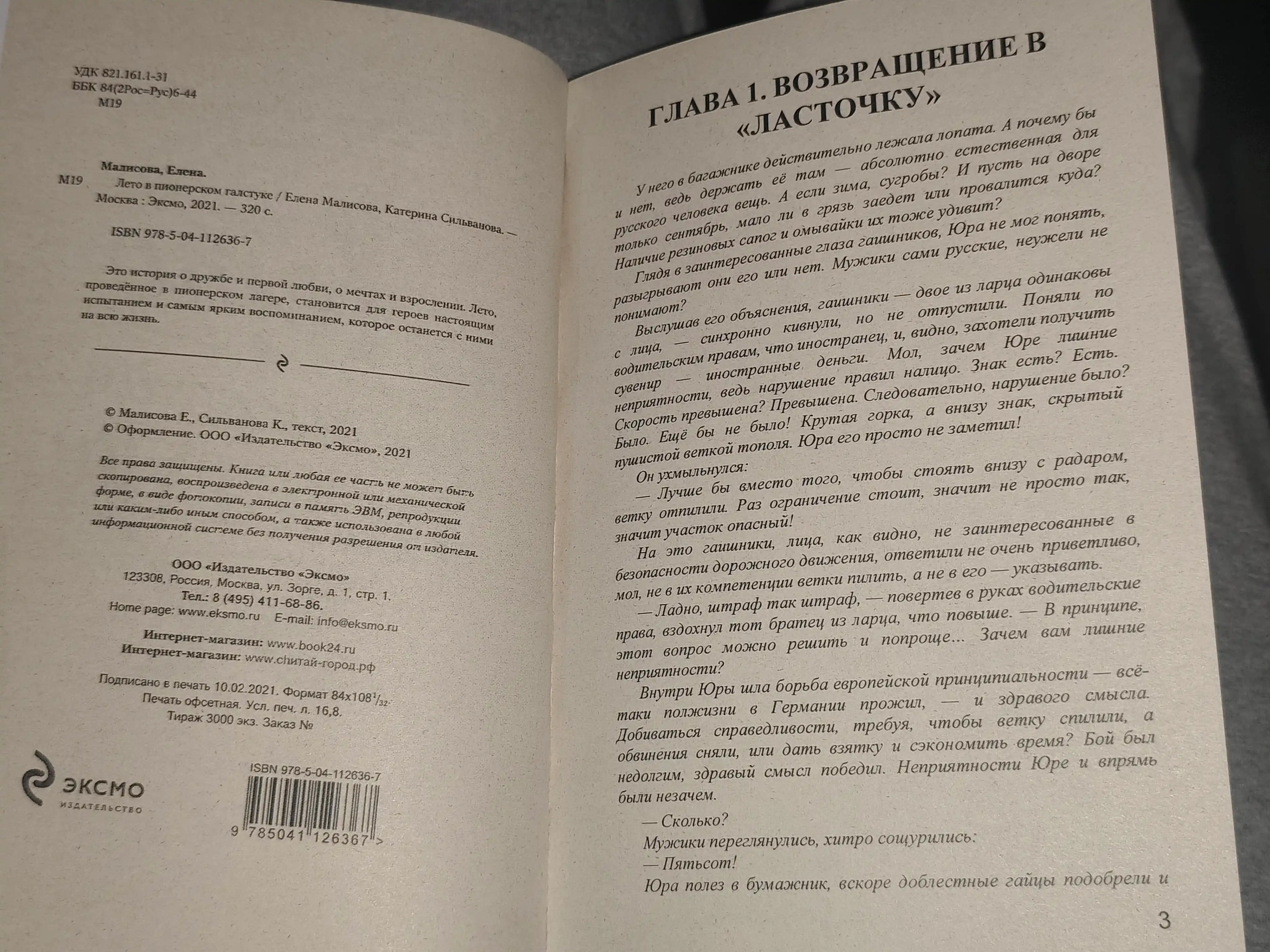 Лето в пионерском галстуке, О чем молчит ласточка