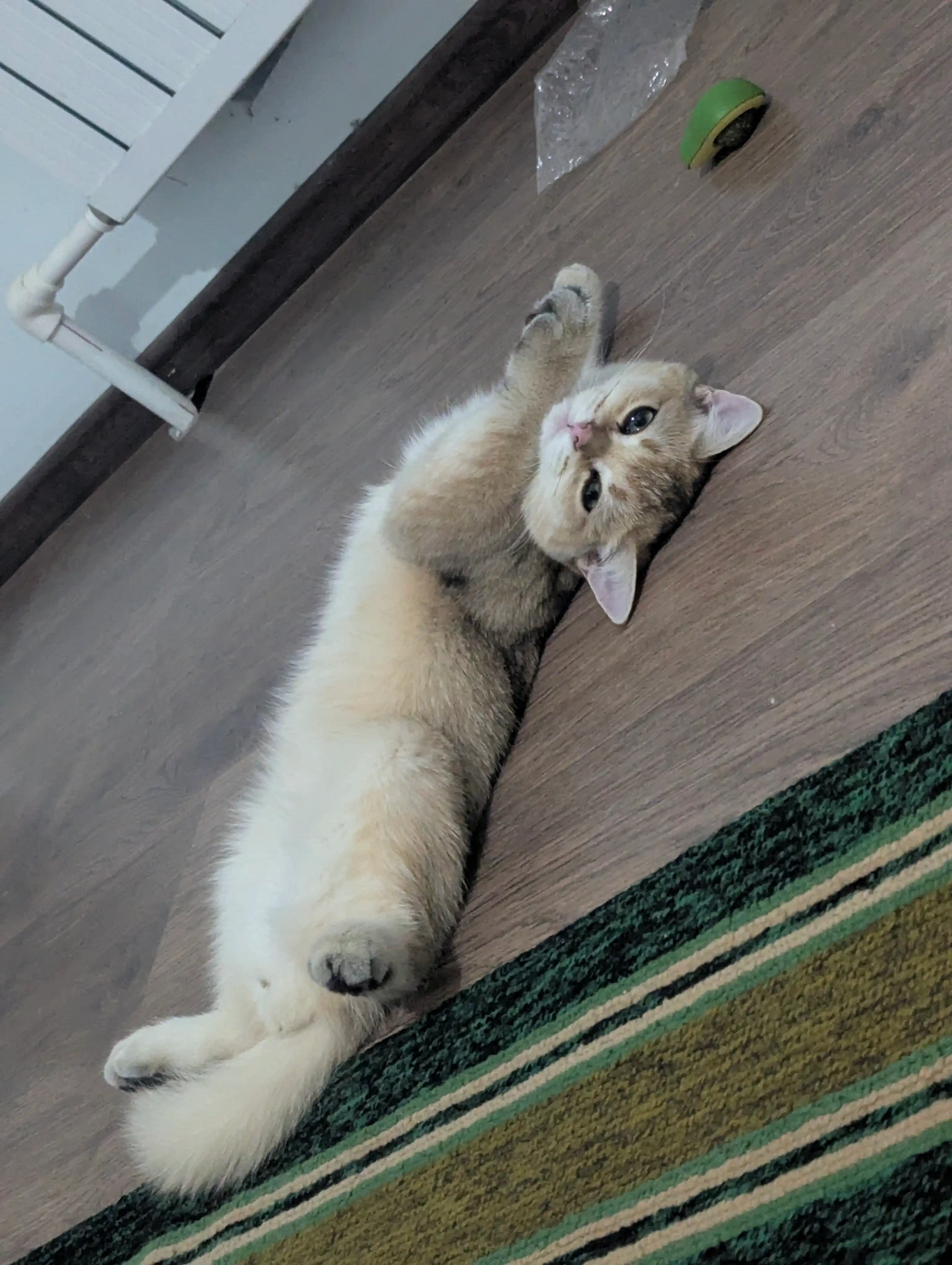 Шарик с кошачьей мятой на липучке, игрушка лизун для кошек