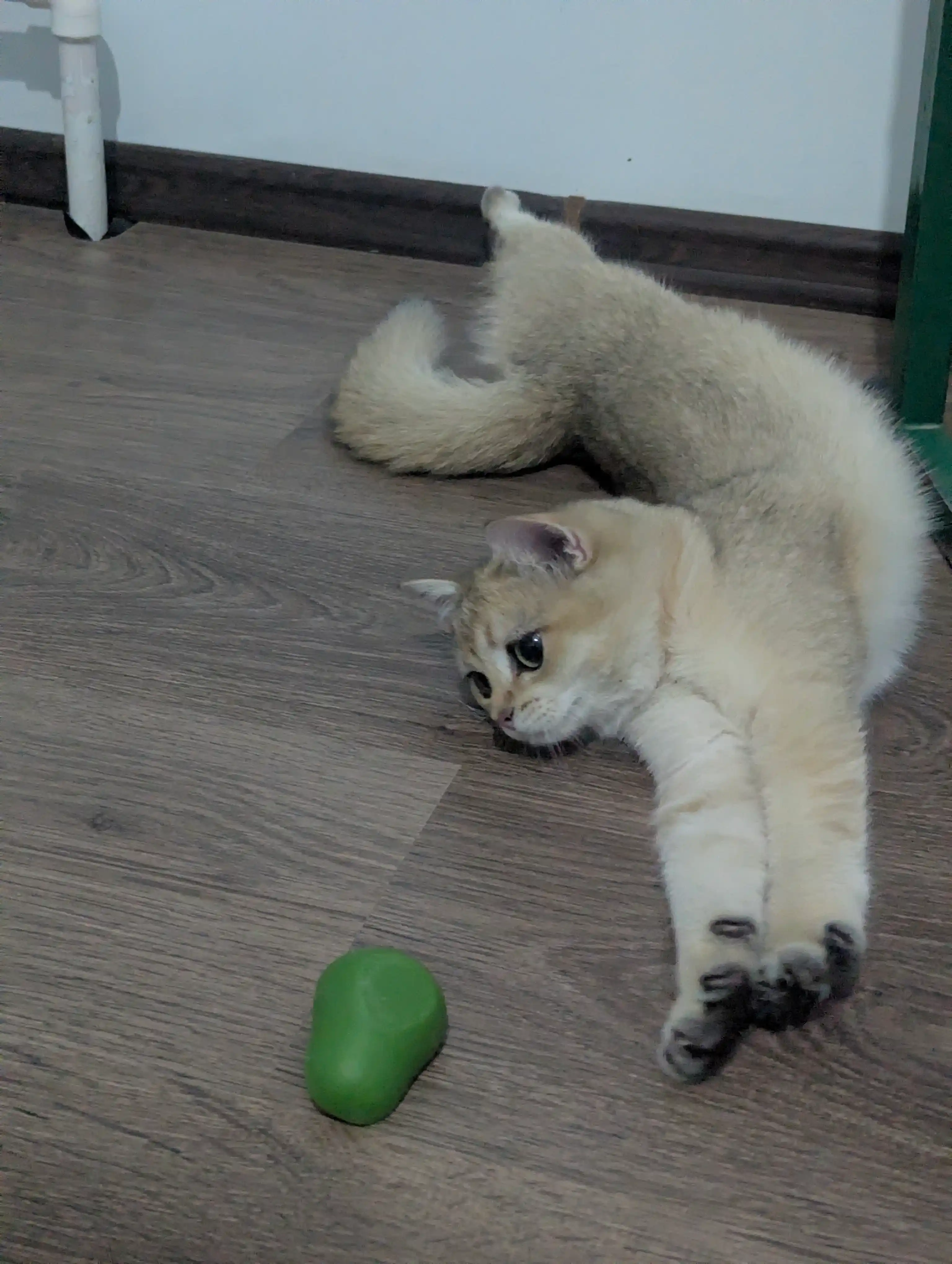 Шарик с кошачьей мятой на липучке, игрушка лизун для кошек