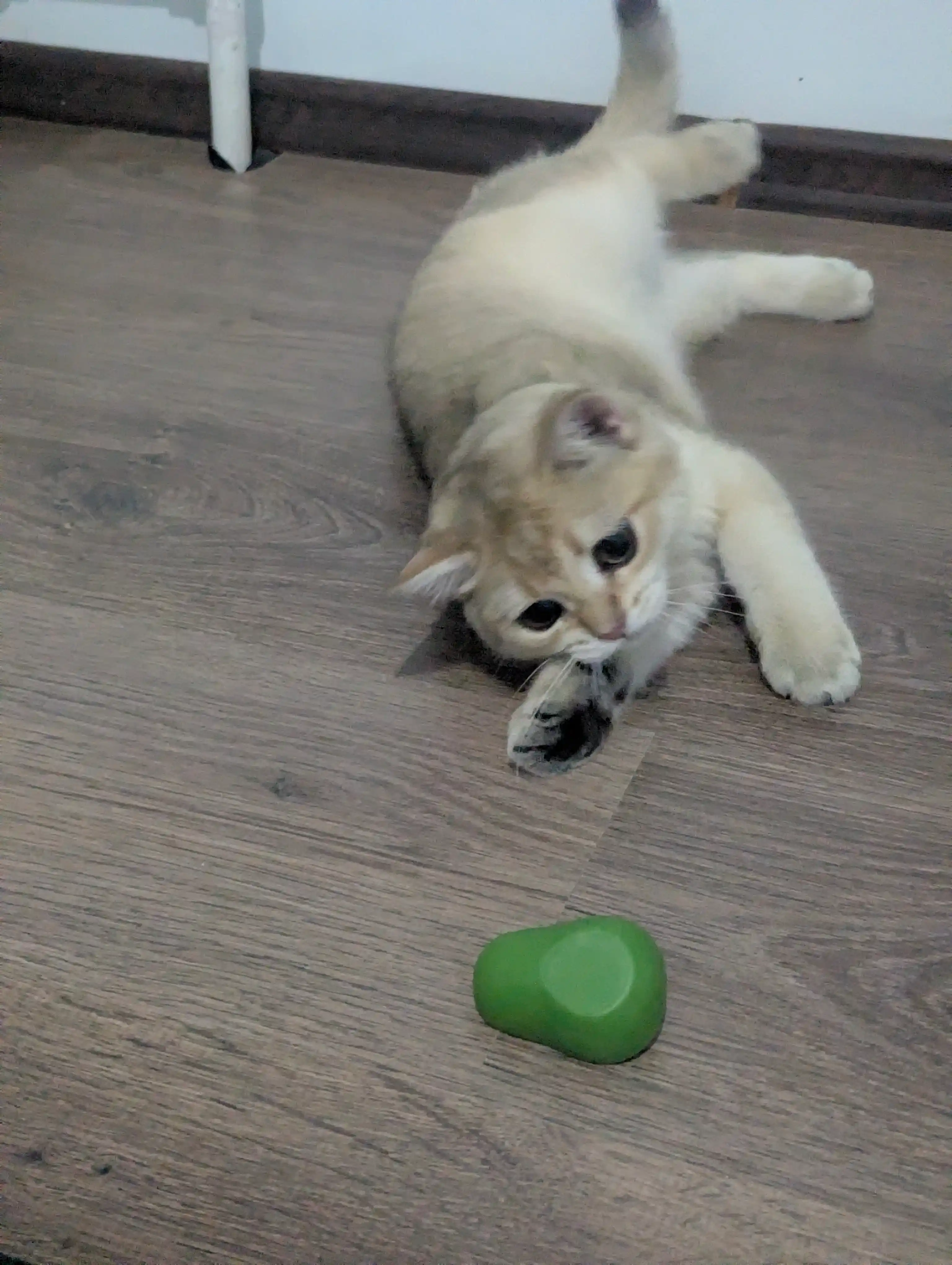 Шарик с кошачьей мятой на липучке, игрушка лизун для кошек