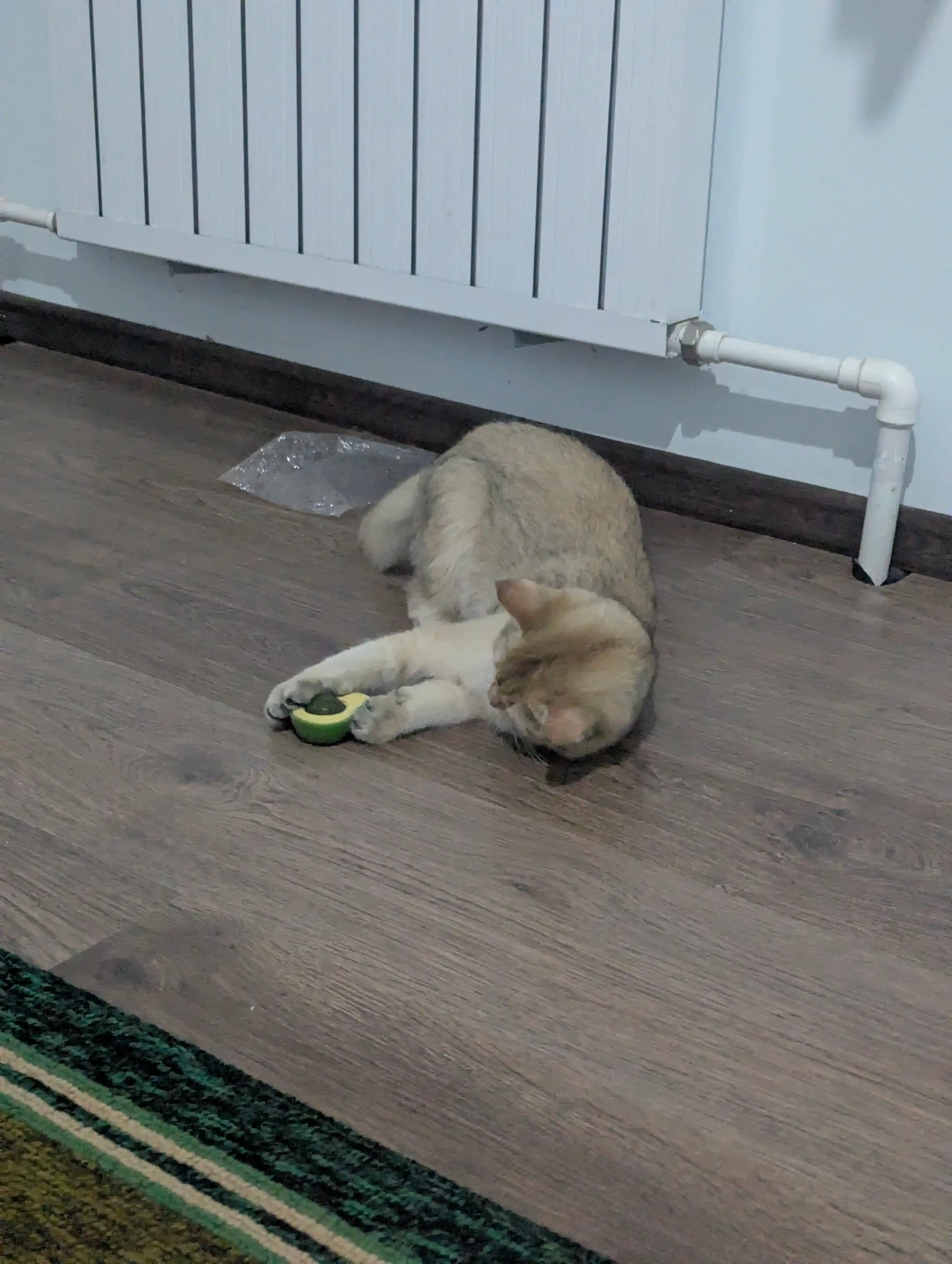 Шарик с кошачьей мятой на липучке, игрушка лизун для кошек