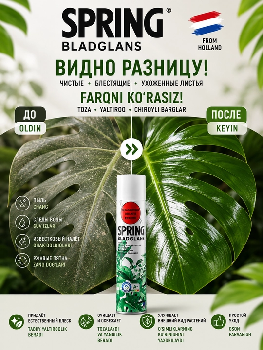 Barglar uchun yaltiroq lak SPRING Bladglans