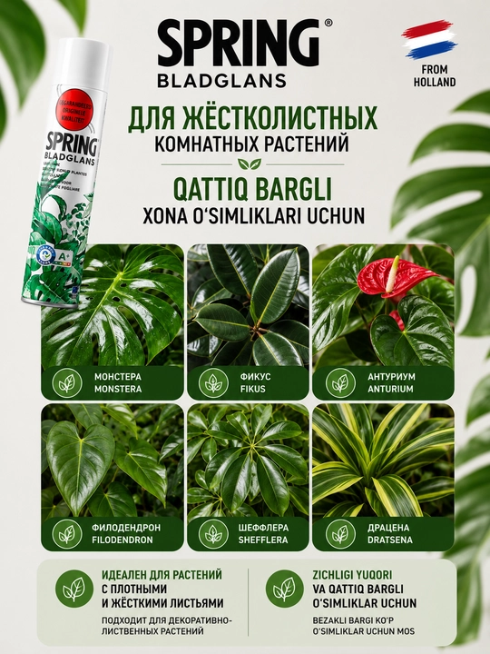 Barglar uchun yaltiroq lak SPRING Bladglans