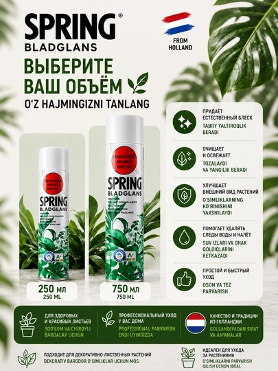 Barglar uchun yaltiroq lak SPRING Bladglans