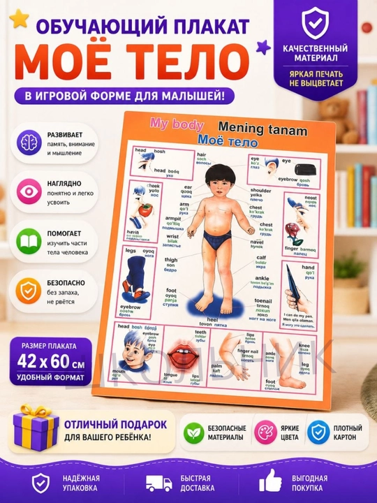 Bolalar uchun o‘quv plakat, rasmli alifbo, raqamlar, dunyo xaritasi, O‘zbekiston xaritasi - 