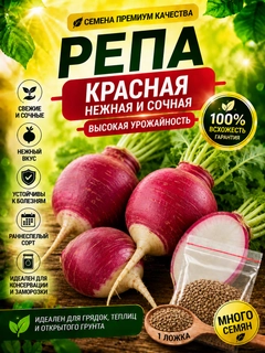 Марсала