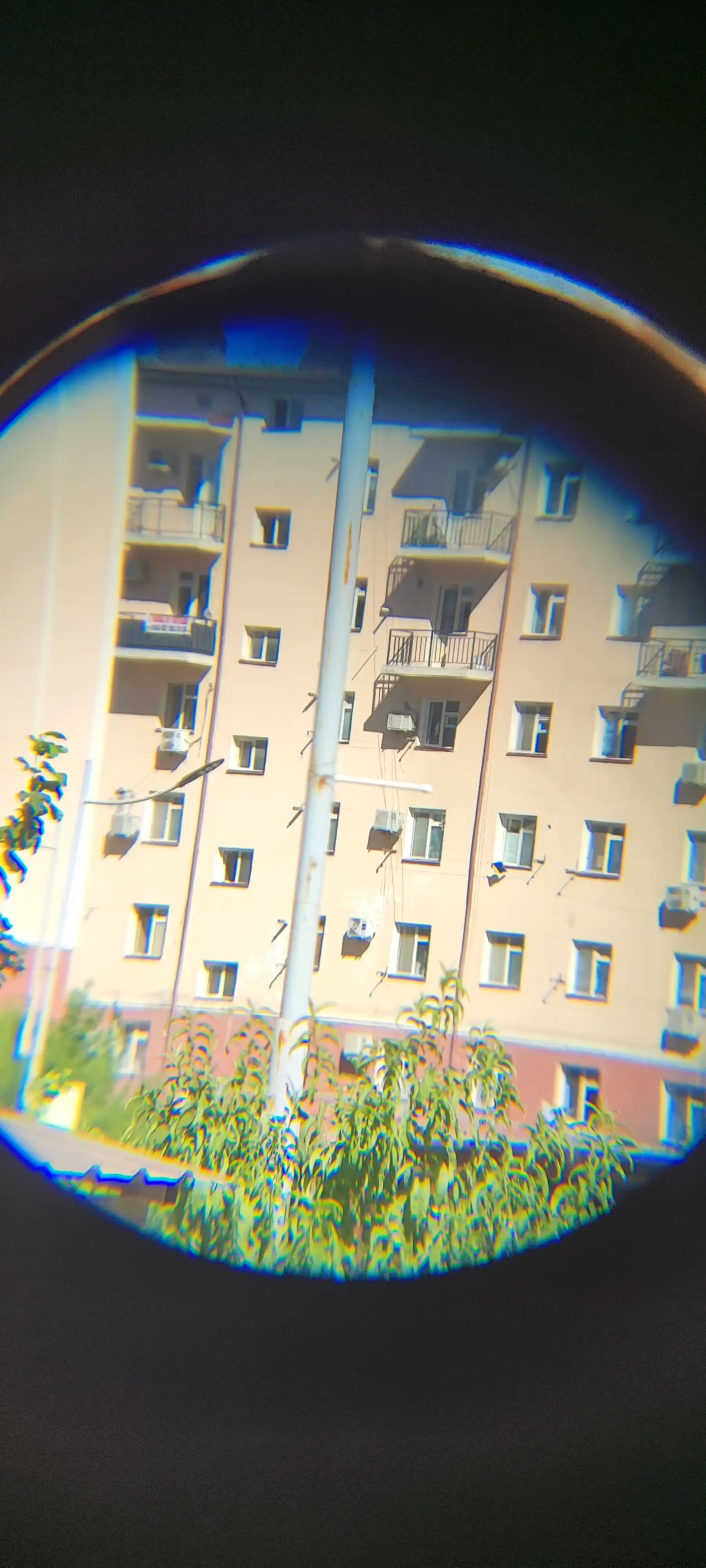 Бинокль для охоты и наблюдения