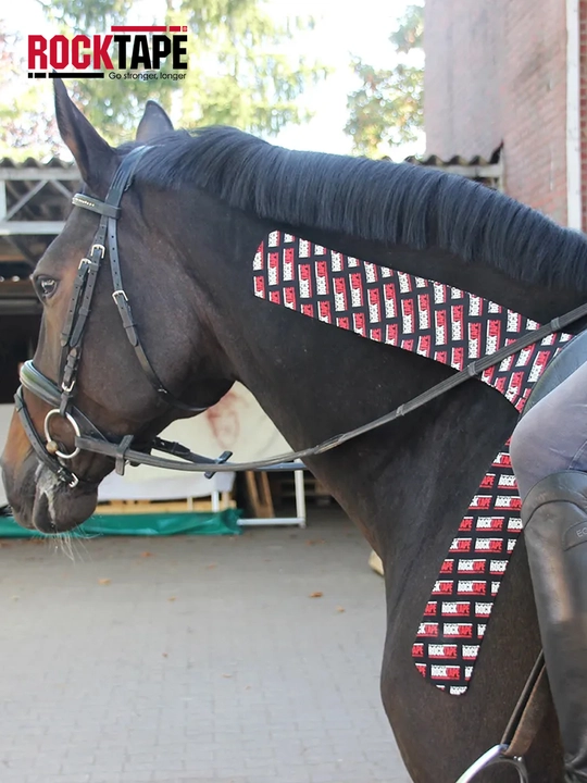 Кинезио тейп для животных, эластичный пластырь для суставов и мышц Rocktape Equine 5см*32м
