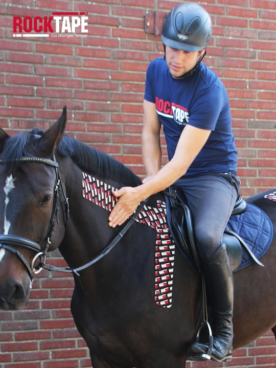 Кинезио тейп для животных, эластичный пластырь для суставов и мышц Rocktape Equine 5см*32м