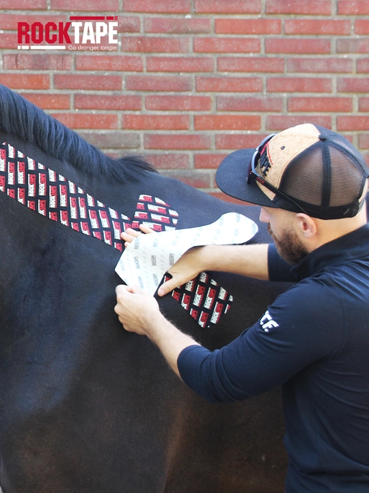 Кинезио тейп для животных, эластичный пластырь для суставов и мышц Rocktape Equine 5см*32м