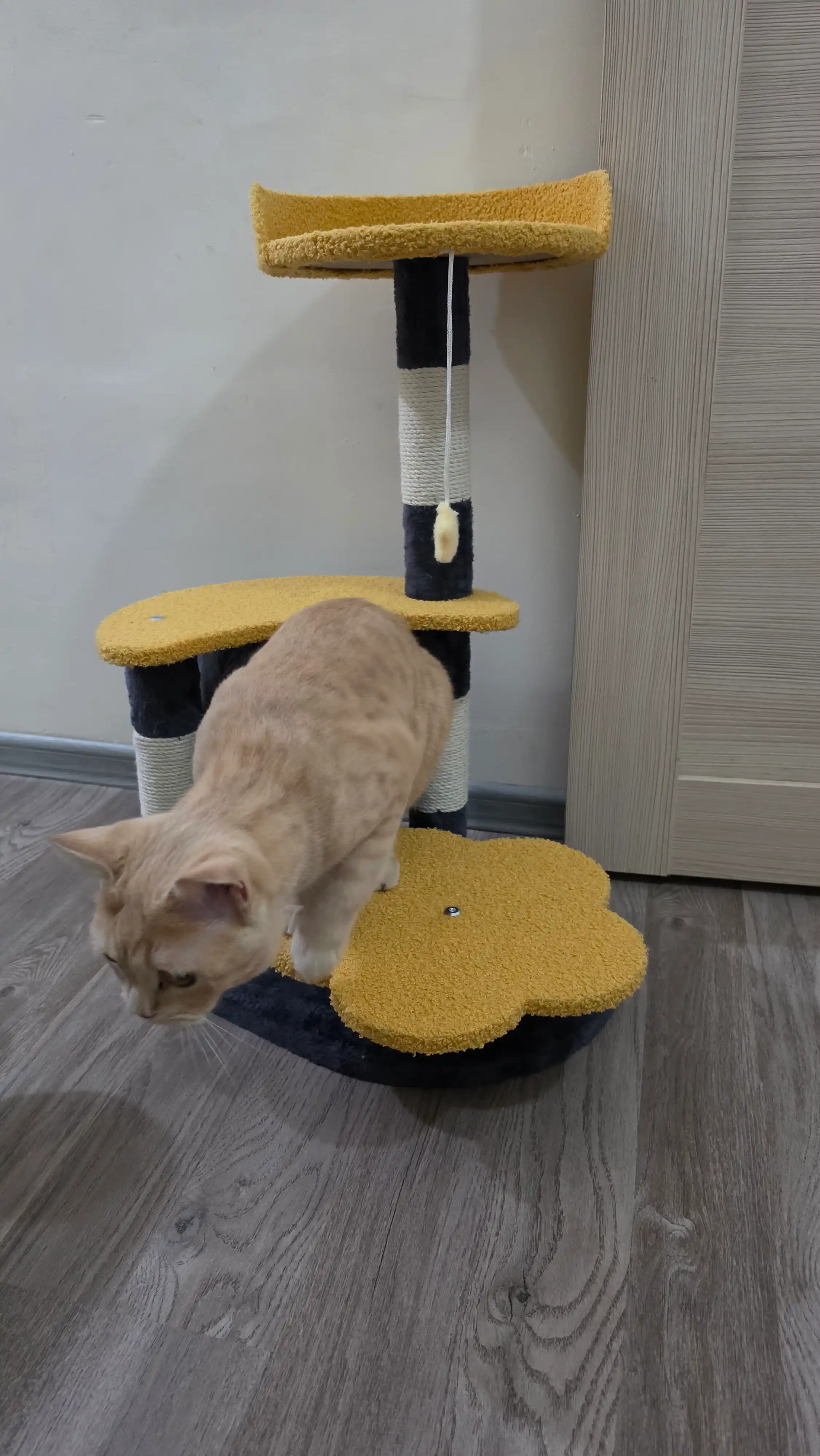 Игровой комплекс для кошек, когтеточка с туннелем и подвесной игрушкой-звездочкой 75см