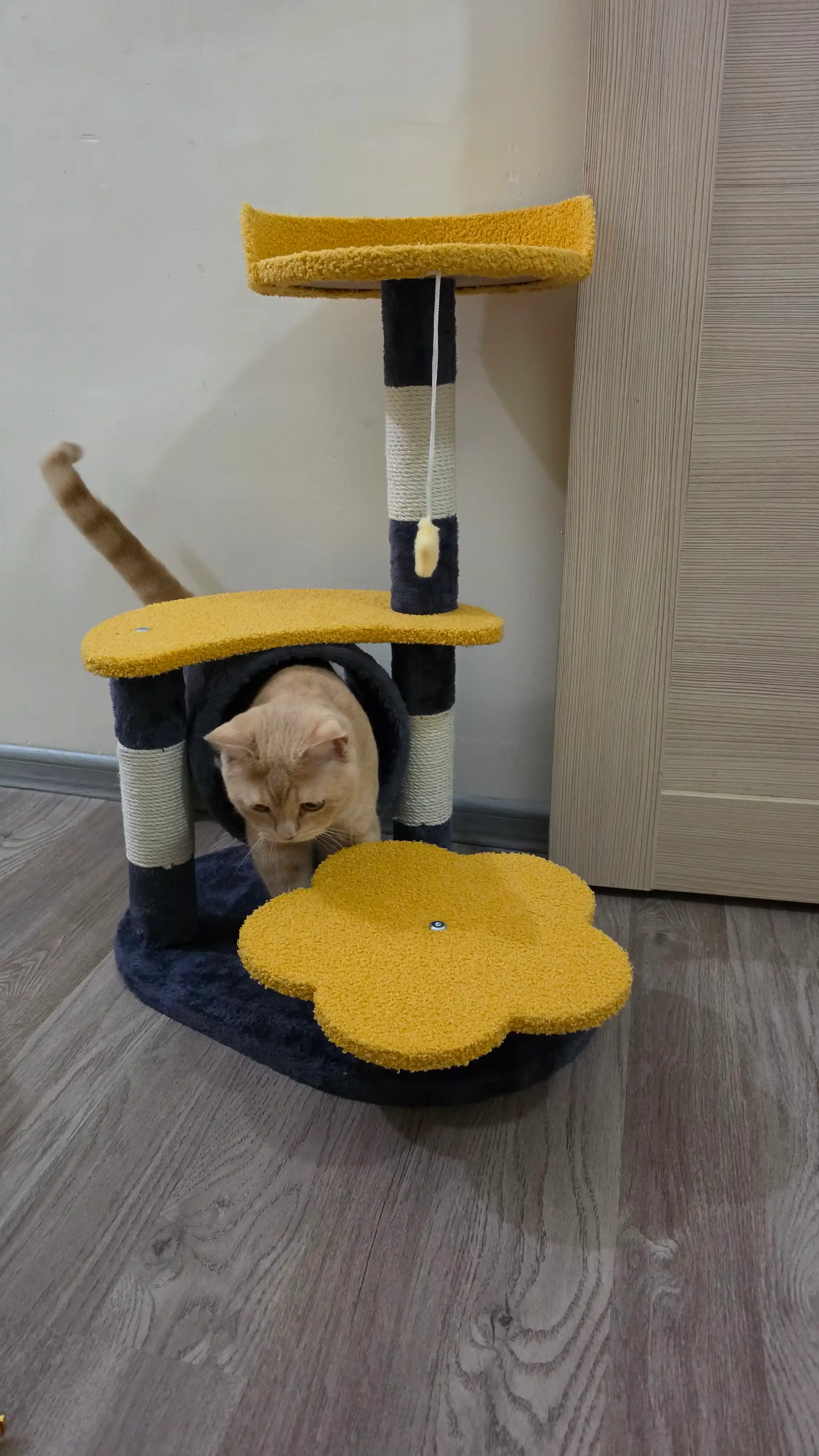 Игровой комплекс для кошек, когтеточка с туннелем и подвесной игрушкой-звездочкой 75см