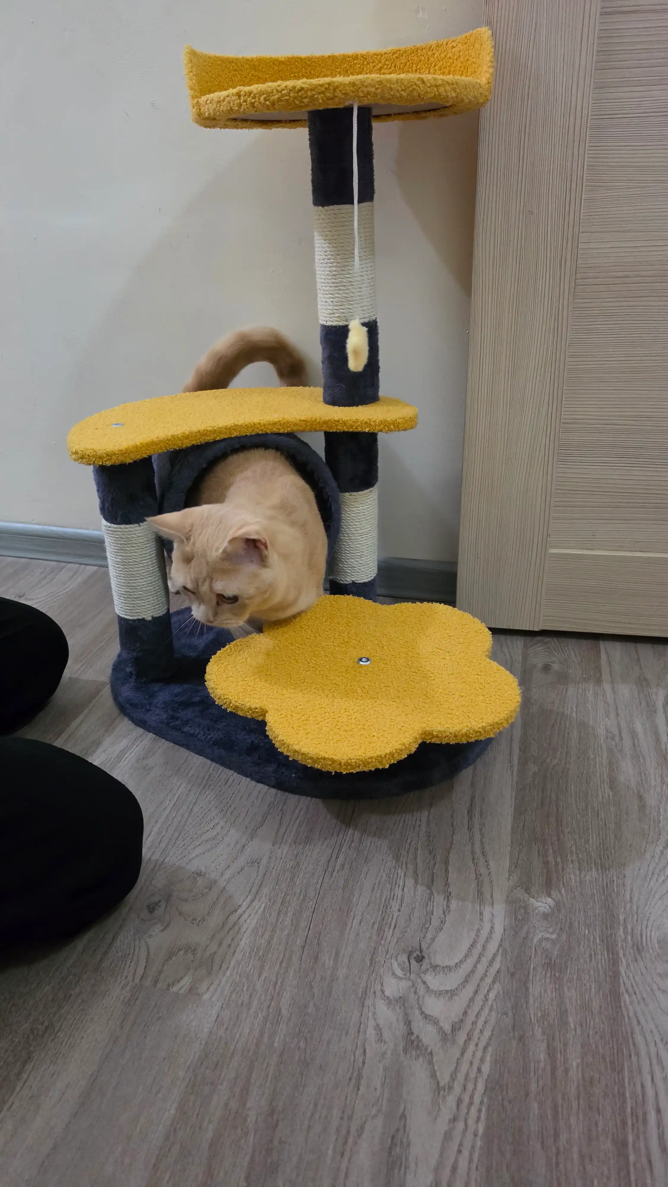 Игровой комплекс для кошек, когтеточка с туннелем и подвесной игрушкой-звездочкой 75см