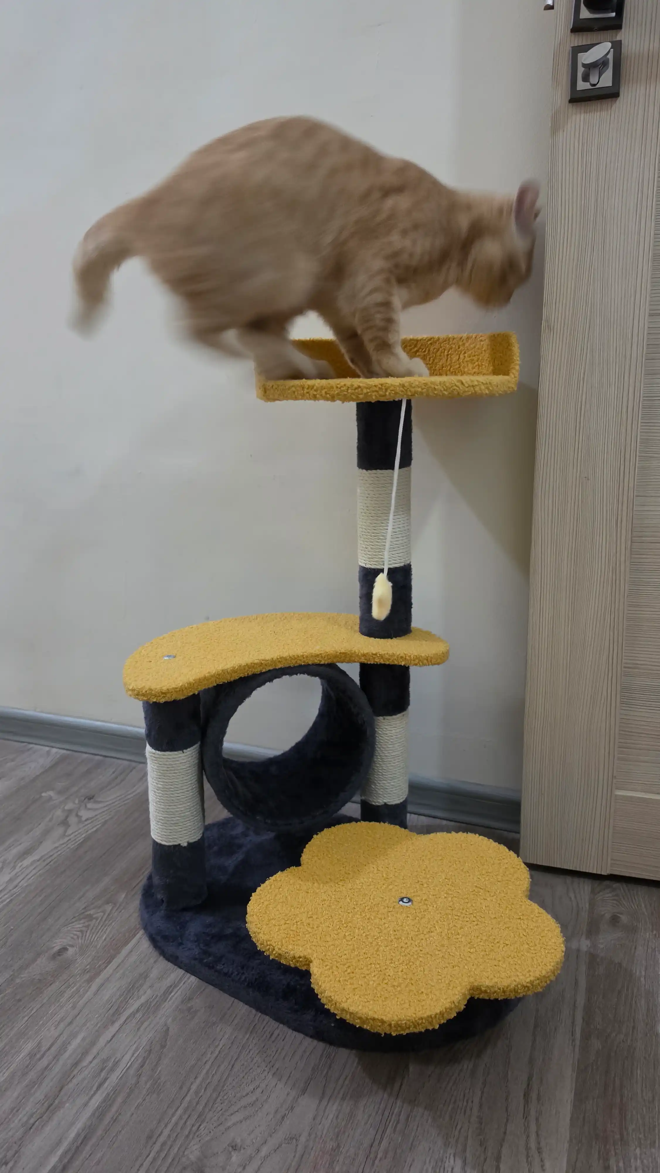 Игровой комплекс для кошек, когтеточка с туннелем и подвесной игрушкой-звездочкой 75см