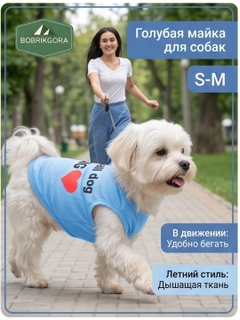 Moviy