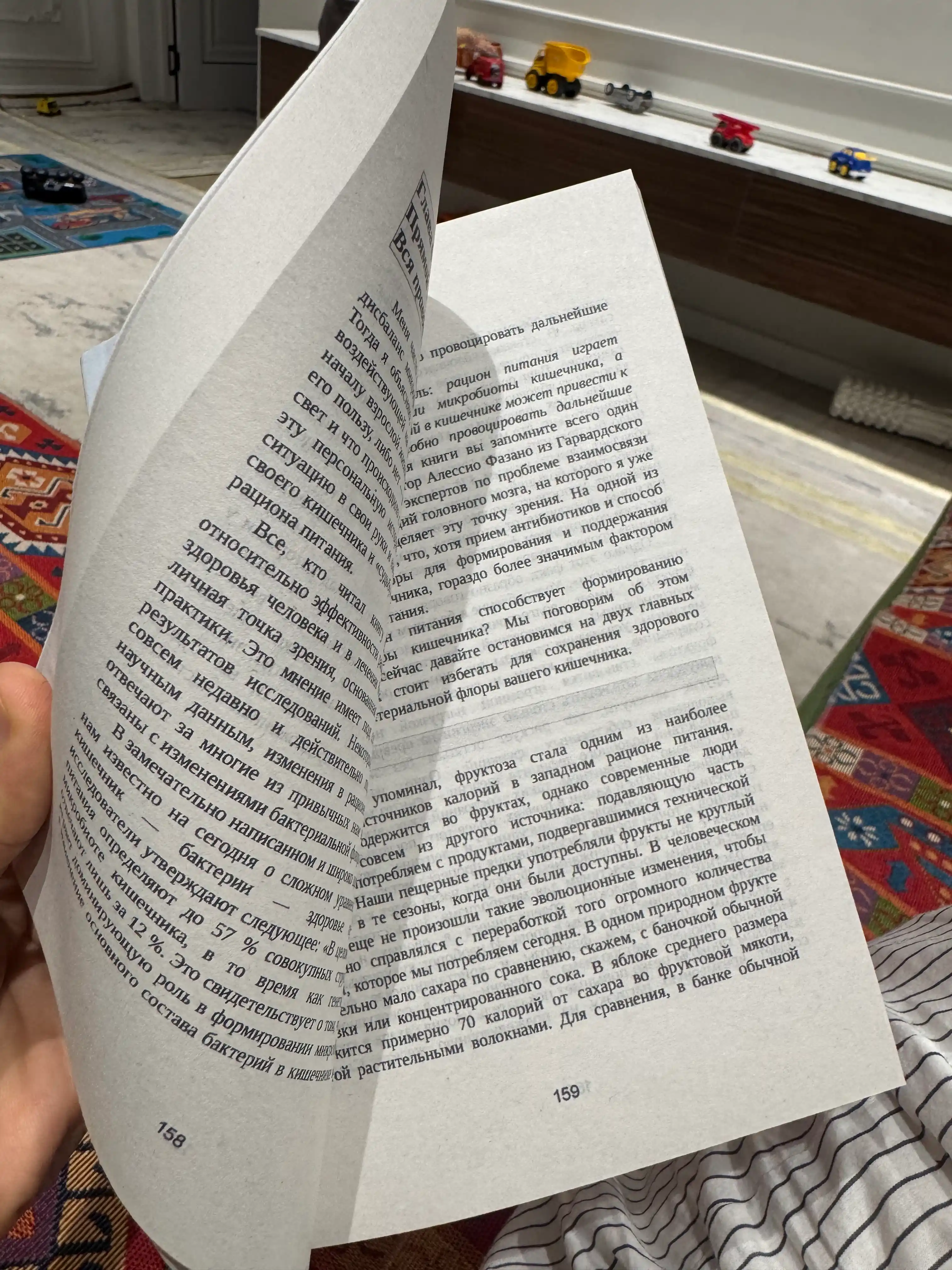 Кристин Лоберг, кишечник и мозг: как кишечные бактерии исцеляют и защищают ваш мозг