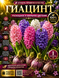 Конфетный